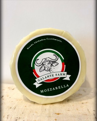 MANDA MOZZERELLA PEYNİRİ BLOK VAKUMLU - 500 GR -