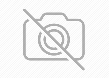 Neden Gıda Tedarik İşindeyiz